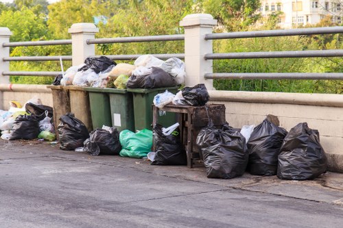 Benefits of Professional Waste Removal